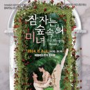 동화발레 잠자는 숲속의 미녀(서울시티발레단) 이미지