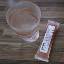 봉구랑 도도 | 이것저것 기록 일기