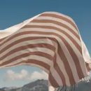 럭키메드 이미지