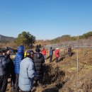 여주-0907 이미지