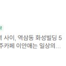 이안애