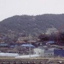 구릉(오성) Daum카페
