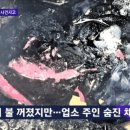 광주이용원