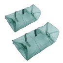 장어와미꾸라지 이미지