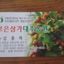 보은삼가대추농원 이미지