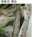 의외로 00년대까지는 유쾌했던거 이미지