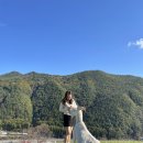 초원목장B 이미지