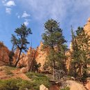 P-5325 | [공지] [미서부 캠핑카 로드트립] 16박 17일 비용 총결산 (요세미티-그랑테턴-옐로스톤-브라이스...