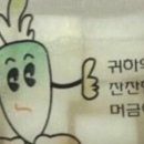 럭키웨더젤라또