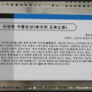 아양동석불입상 이미지