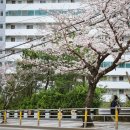 영도국민체육센터 이미지