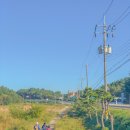 대독누리길 화장실 | [경남, 고성가볼만한 곳] 2021코리아둘레길원정대, 3일차_남파랑길 31코스_in 고성_황금빛으로 가득차...