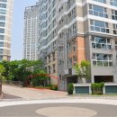 판교원로 이미지