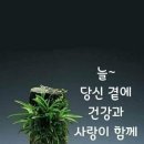 도원식당