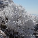 노고단-4 이미지