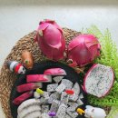 백용 | 제주 용과 손질 및 먹는법 실속형 선물세트 4kg 가격