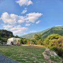 노스토스 이미지