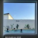 오아로 | 제주 성산 오아로 펜션 후기 | 온수풀 수영장 자쿠지 바베큐까지 아이랑 가기 좋은 제주 숙소