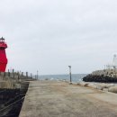 이호 농장 이미지