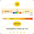 365스포츠 이미지