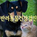 굿모닝동물병원 이미지