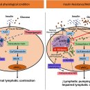 neuron이 과부하가 걸리면? 신경세포의 과흥분성은 치매의 시작. 어떻게 알 수 있나? 이미지