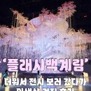 월드아트덱스포 | '플래시백계림' 여름에 가기 좋은 경주 실내 여행코스 솔직 후기 !
