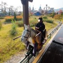 마스터 배 아카데미 | 레고랜드 초등 아이 놀이 기구 추천 점심 식사 먹을만한 것 평일 레고랜드 코리아 다녀온 후기