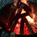 유명산둥지 이미지