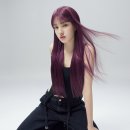 시크코스메틱 이미지