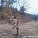 지재농장 이미지