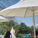 육군사관학교 | 육군사관학교 화랑정원 4월 맑은 날 야외 결혼식 하객 후기