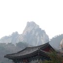 현대의정부 부대찌개 이미지