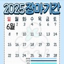 보미뷰티 이미지