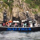 신진도조이 이미지