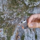 GR(평창군)-[서동로]-상-9 | (평창/여행) 이 구역의 패셔니스타 "촌캉스" 2탄!