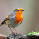 불암체육공원 이미지