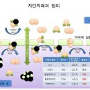 참크린 이미지