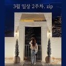 닭발아놀자 네이버블로그