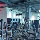 머슬피플 이미지