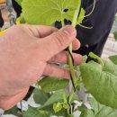 농업기술센터 농산물종합가공지원실 이미지