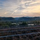 신촌3리 이미지