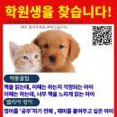 바른길교육 - 안양시 동안구 평촌대로 116 | 바른길교육