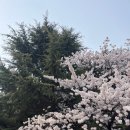 쭘마즉석떡볶이 - 남동구 문화서로 13 | 쭘마즉석떡볶이