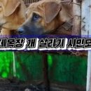 민원농장 이미지