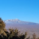 용바위농장 이미지