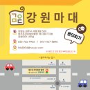 강원원주마대 이미지
