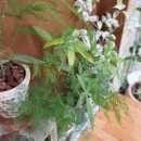 더 해움 이미지