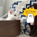 주간일기(22.10.31~22.11.6.)
