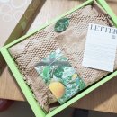 라포르하례 이미지